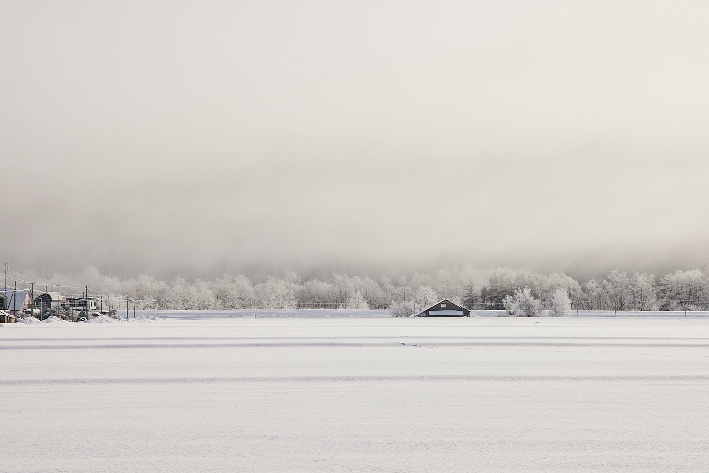Still Winter - Hokkaido