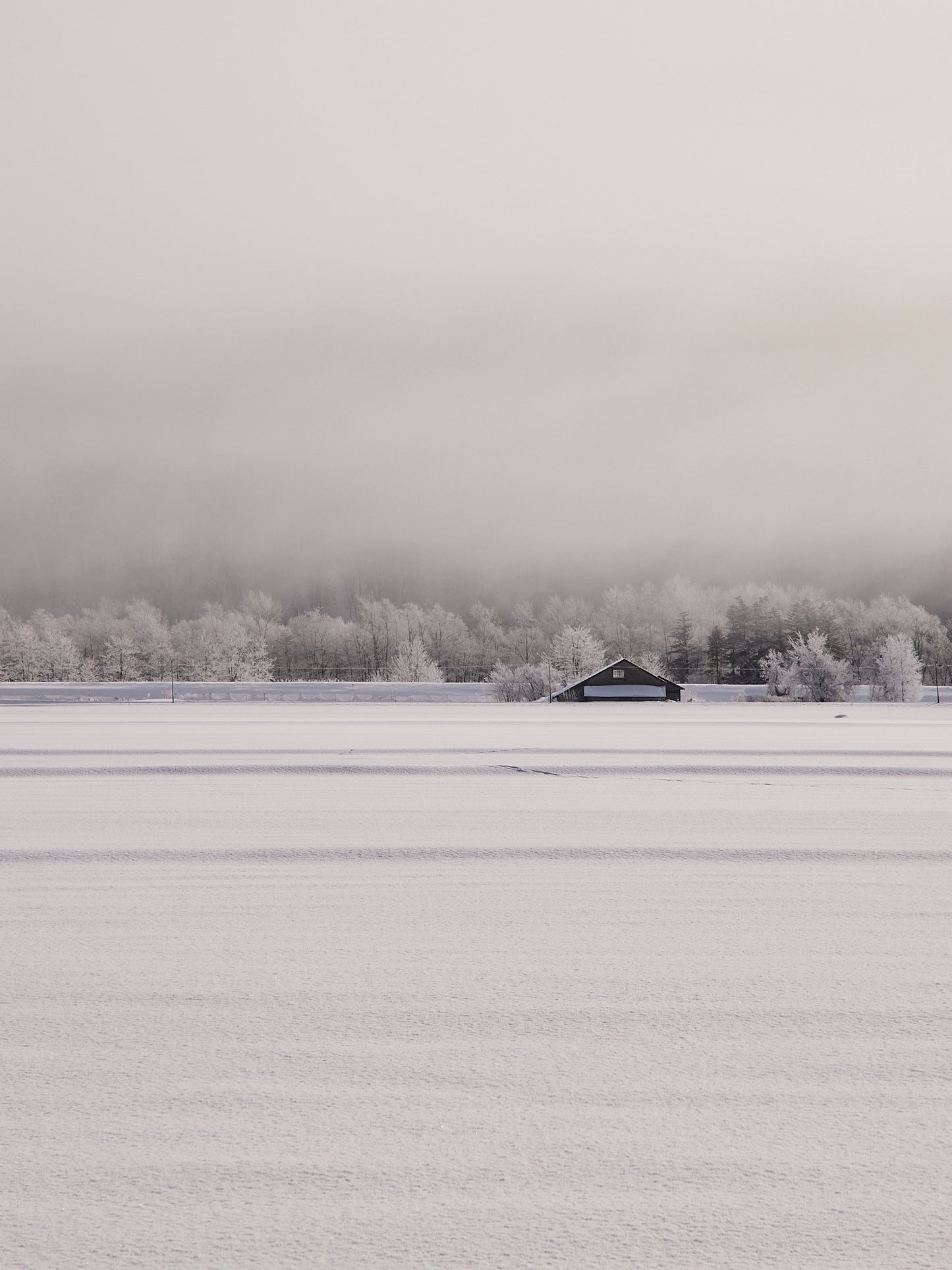 The Quiet Field - Hokkaido