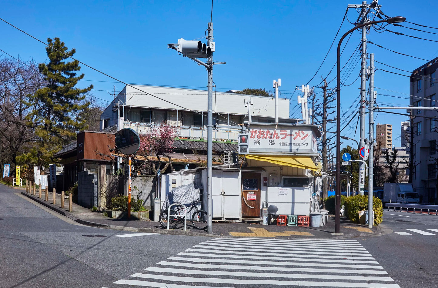 Zebra Crossing - Tokyo