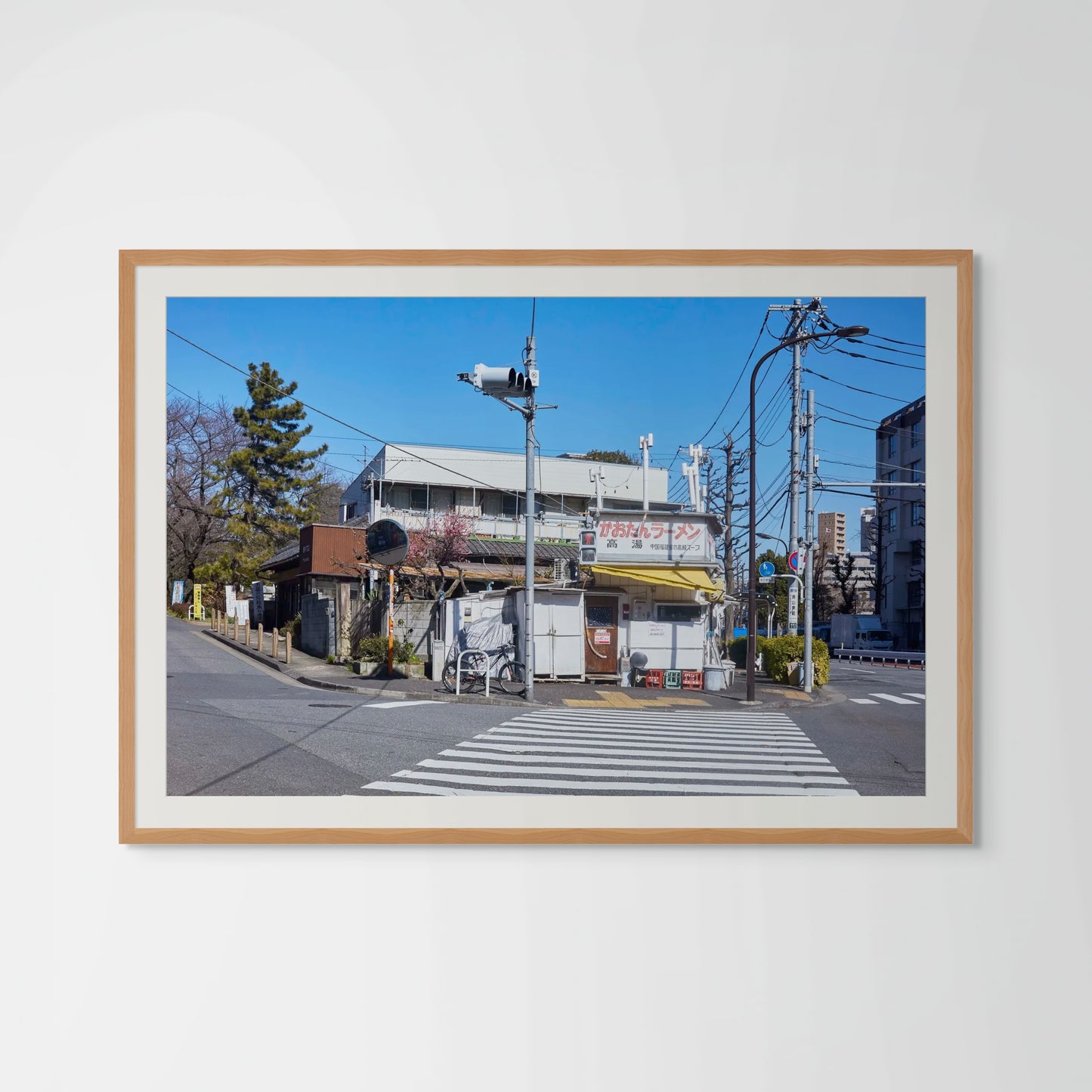 Zebra Crossing - Tokyo