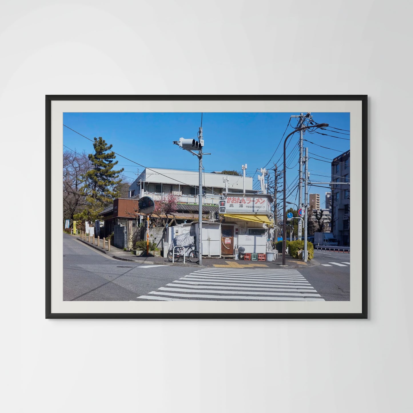 Zebra Crossing - Tokyo