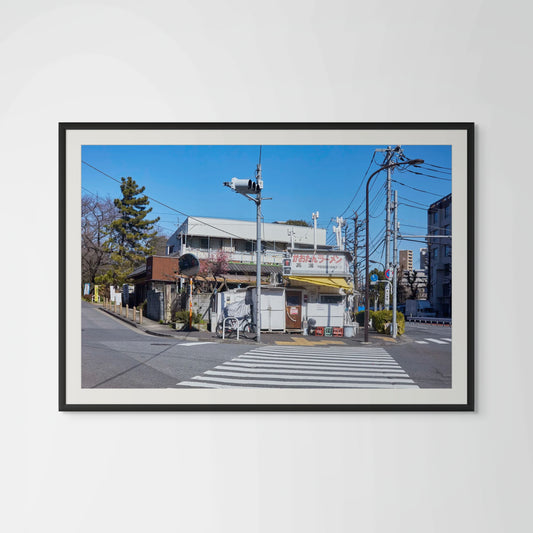 Zebra Crossing - Tokyo