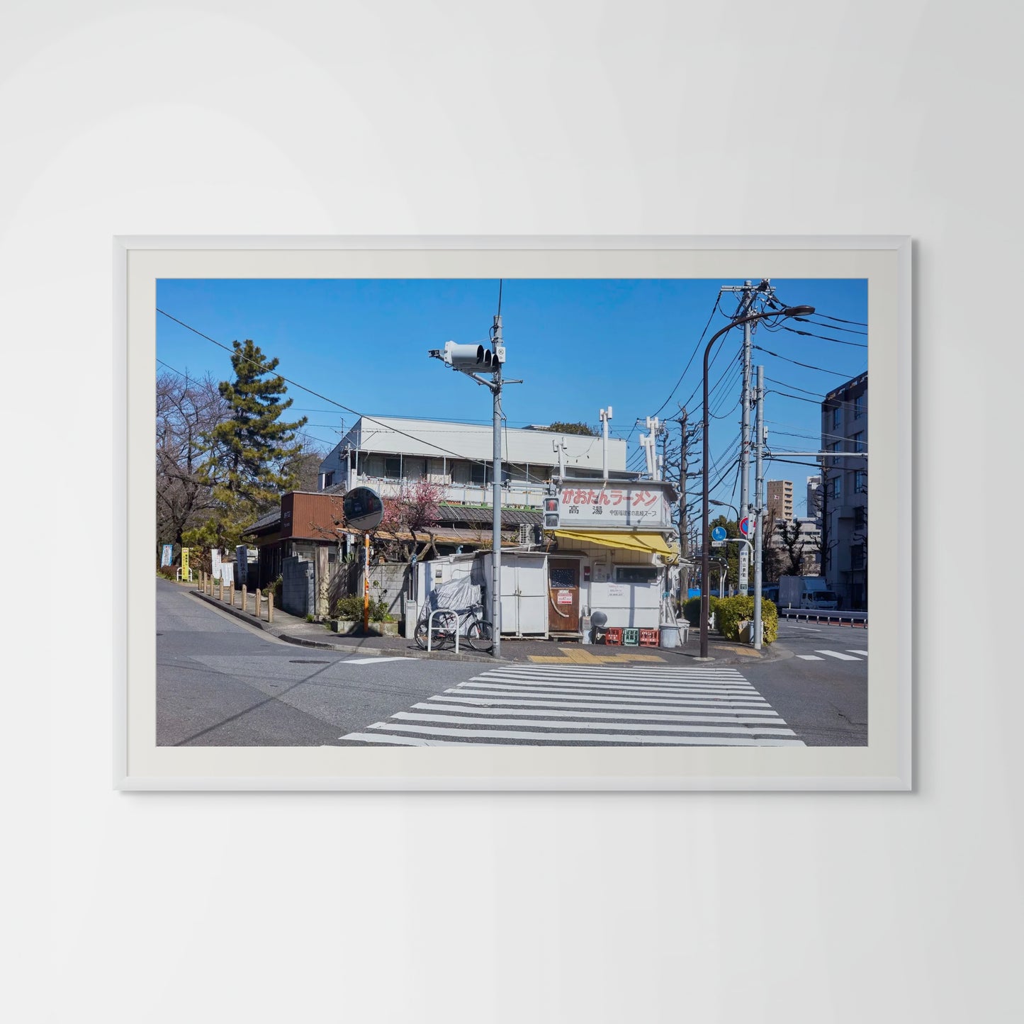 Zebra Crossing - Tokyo